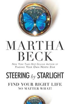 Steering by Starlight Summary