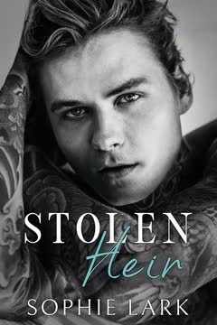Stolen Heir Summary