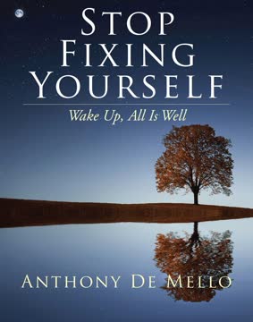 Stop Fixing Yourself Summary