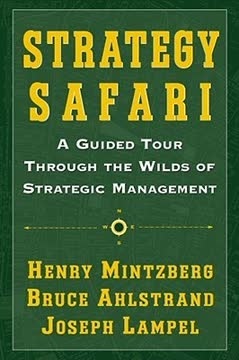 Strategy Safari Summary