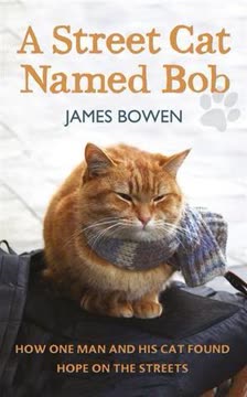 A Street Cat Named Bob Summary
