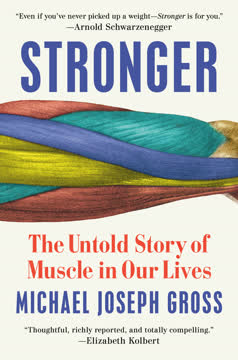 Stronger Summary