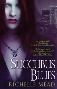 Succubus Blues Summary