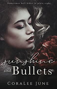 Sunshine and Bullets Summary