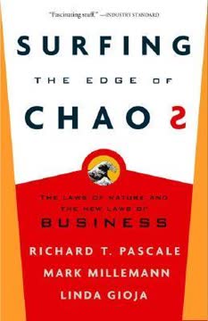 Surfing the Edge of Chaos Summary