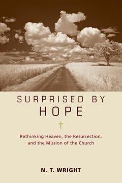 Surprised by Hope Participant&#039;s Guide Summary