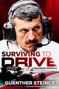 Surviving to Drive Summary