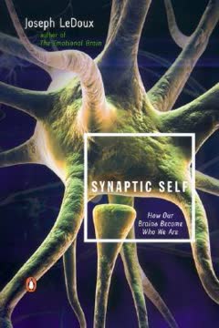 Synaptic Self Summary