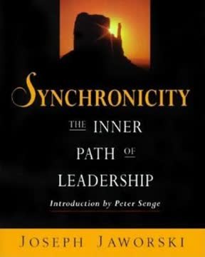 Synchronicity Summary