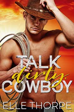 Talk Dirty, Cowboy Summary