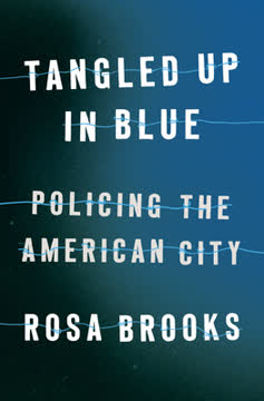 Tangled Up in Blue Summary