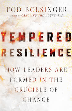 Tempered Resilience Summary