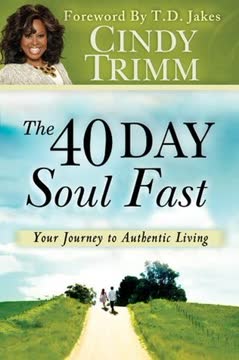 The 40 Day Soul Fast Summary