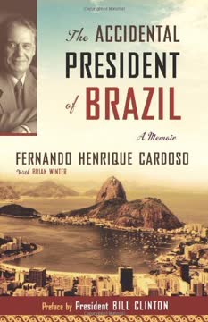 The Accidental President of Brazil Summary