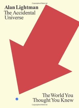 The Accidental Universe Summary