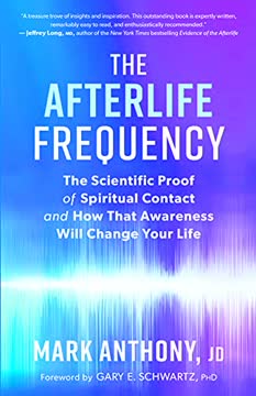 The Afterlife Frequency Summary