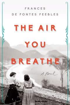 The Air You Breathe Summary