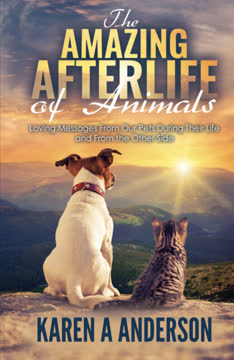 The Amazing Afterlife of Animals; Messages and Signs from our Pets on the Other Side Summary