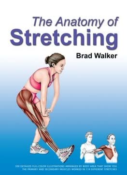The Anatomy of Stretching Summary