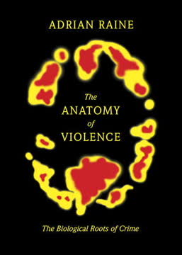 The Anatomy of Violence Summary