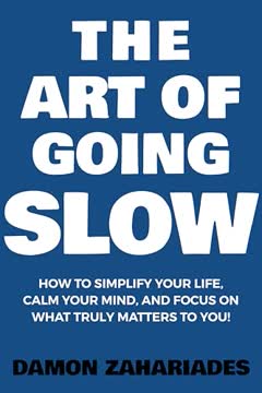 The Art of Going SLOW Summary