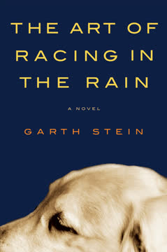 The Art of Racing in the Rain Summary