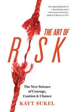 The Art of Risk Summary