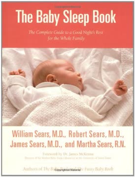Baby Sleep Book Summary