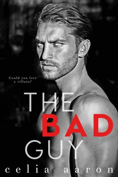 The Bad Guy Summary