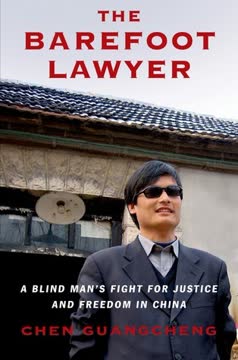 The Barefoot Lawyer Summary
