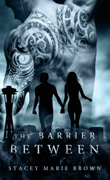 The Barrier Between Summary