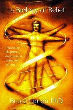The Biology Of Belief Summary