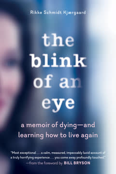 The Blink of an Eye Summary