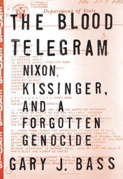 The Blood Telegram Summary