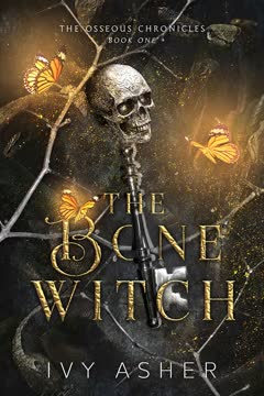 The Bone Witch Summary