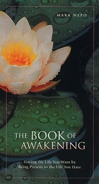 The Book of Awakening Summary