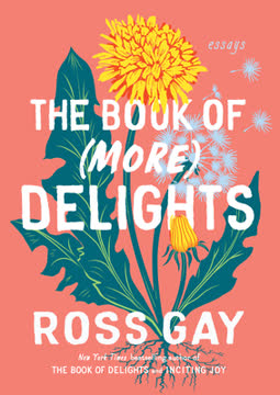 The Book of (More) Delights Summary