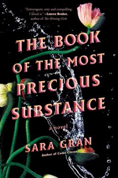 The Book of the Most Precious Substance Summary