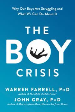 The Boy Crisis Summary