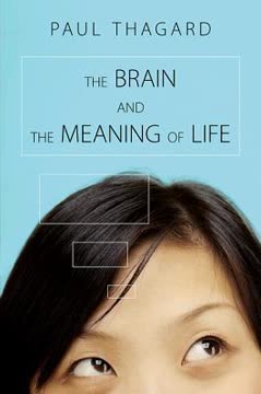 The Brain and the Meaning of Life Summary