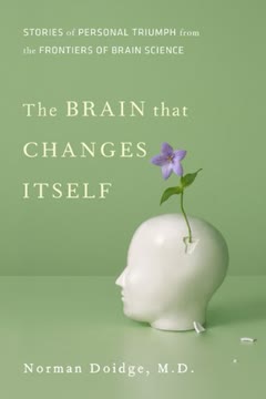 The Brain that Changes Itself Summary