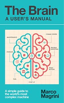 The Brain Summary