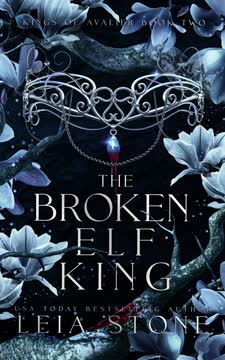 The Broken Elf King Summary