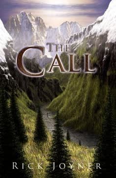 The Call Summary