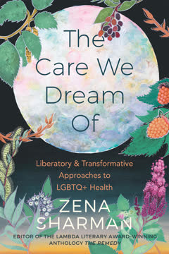 The Care We Dream Of Summary