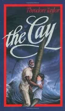The Cay Summary