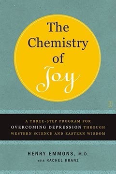 The Chemistry of Joy Summary