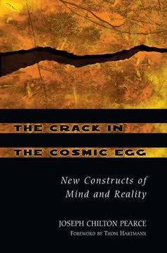 The Crack in the Cosmic Egg Summary