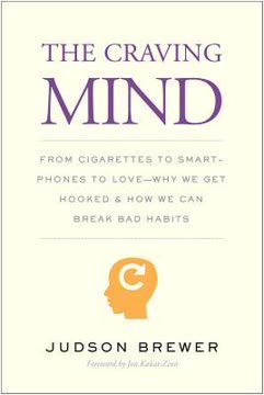 The Craving Mind Summary