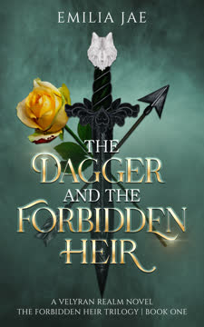 The Dagger and the Forbidden Heir Summary
